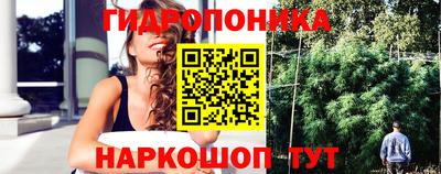 дурь Будённовск
